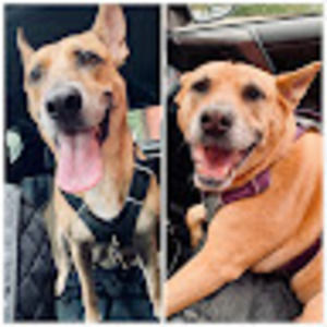 Meet your Posher, Jess